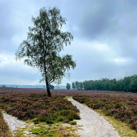 Huisje Aan De Bosrand - Veluwe Epe Esterno foto