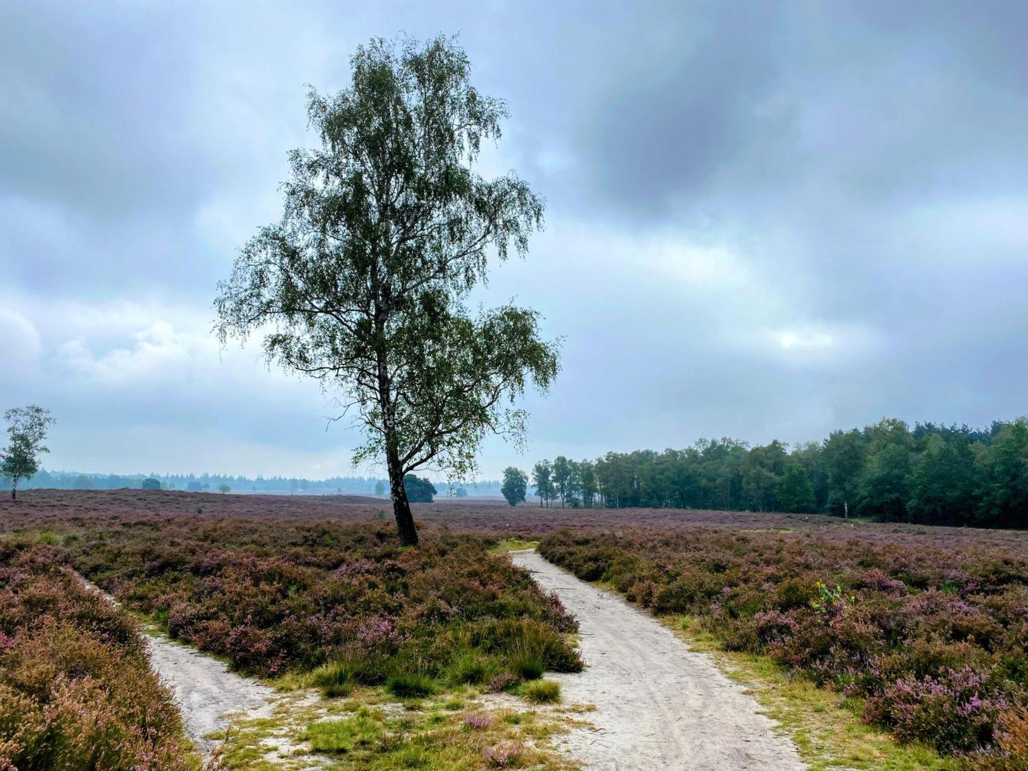 Huisje Aan De Bosrand - Veluwe Epe Esterno foto